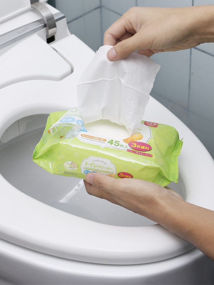 日本进口洁厕湿巾清洁消毒厕所马桶盖清洁湿纸巾便携抽取式45抽