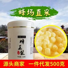 鑫蜂园实力源头蜂场农家自产当季食品500克一瓶装 新鲜油菜蜂王浆