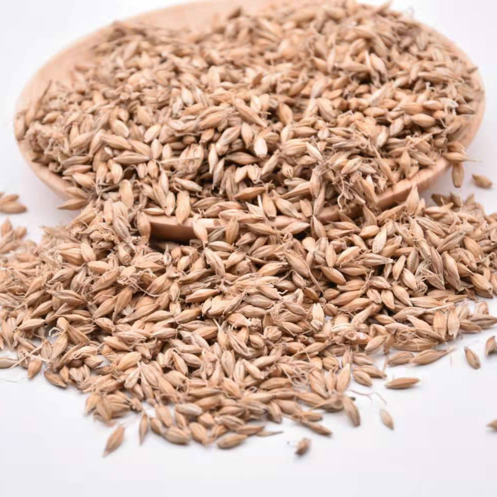 生麦芽1000克【华美中药】中药材批发现货供应【生麦芽】货源稳定