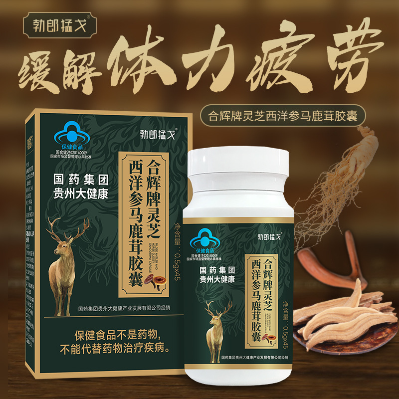 男性成人口服保健品 西洋参马鹿茸胶囊缓解体力疲劳 现货批发