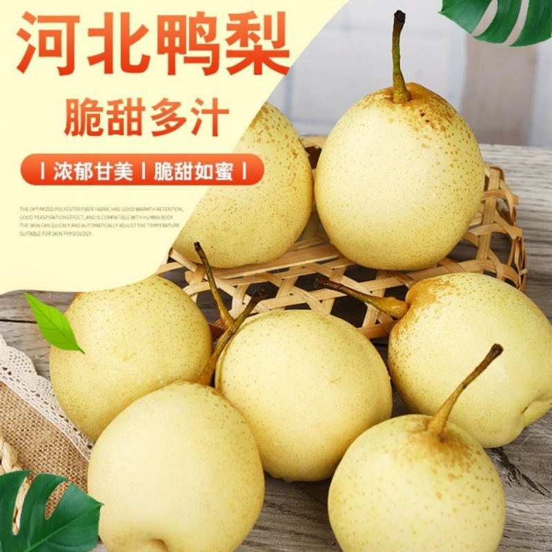 鸭梨河北水晶梨10斤带箱包邮非皇冠梨雪梨香梨新鲜梨子3/5斤批发