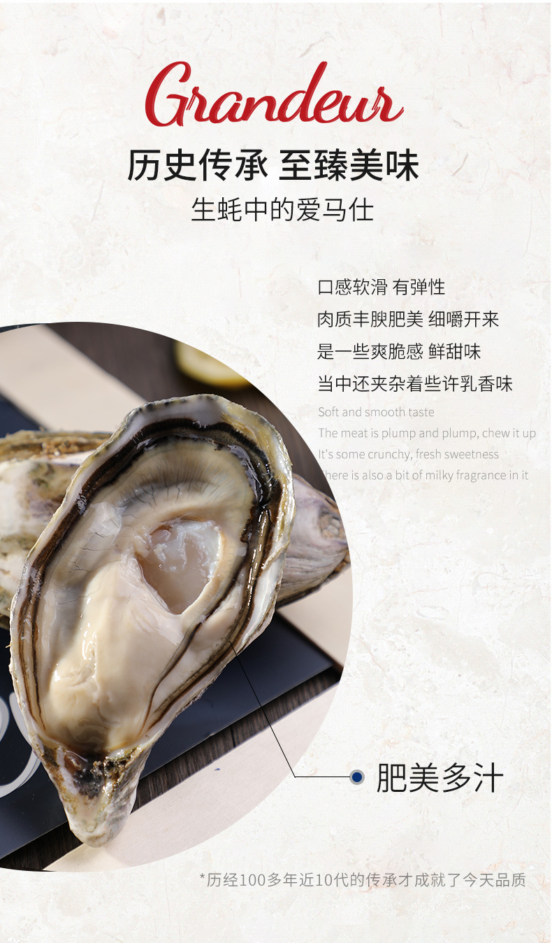 法国原装进口生蚝 吉拉多生蚝大量批发 顺丰粉钻生蚝批发诚招代理