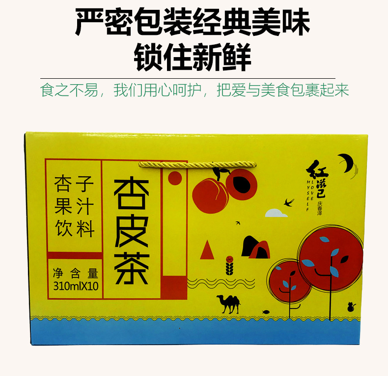 红滋已杏皮茶甘肃张掖特产原味杏子果汁饮料礼盒10罐装批发