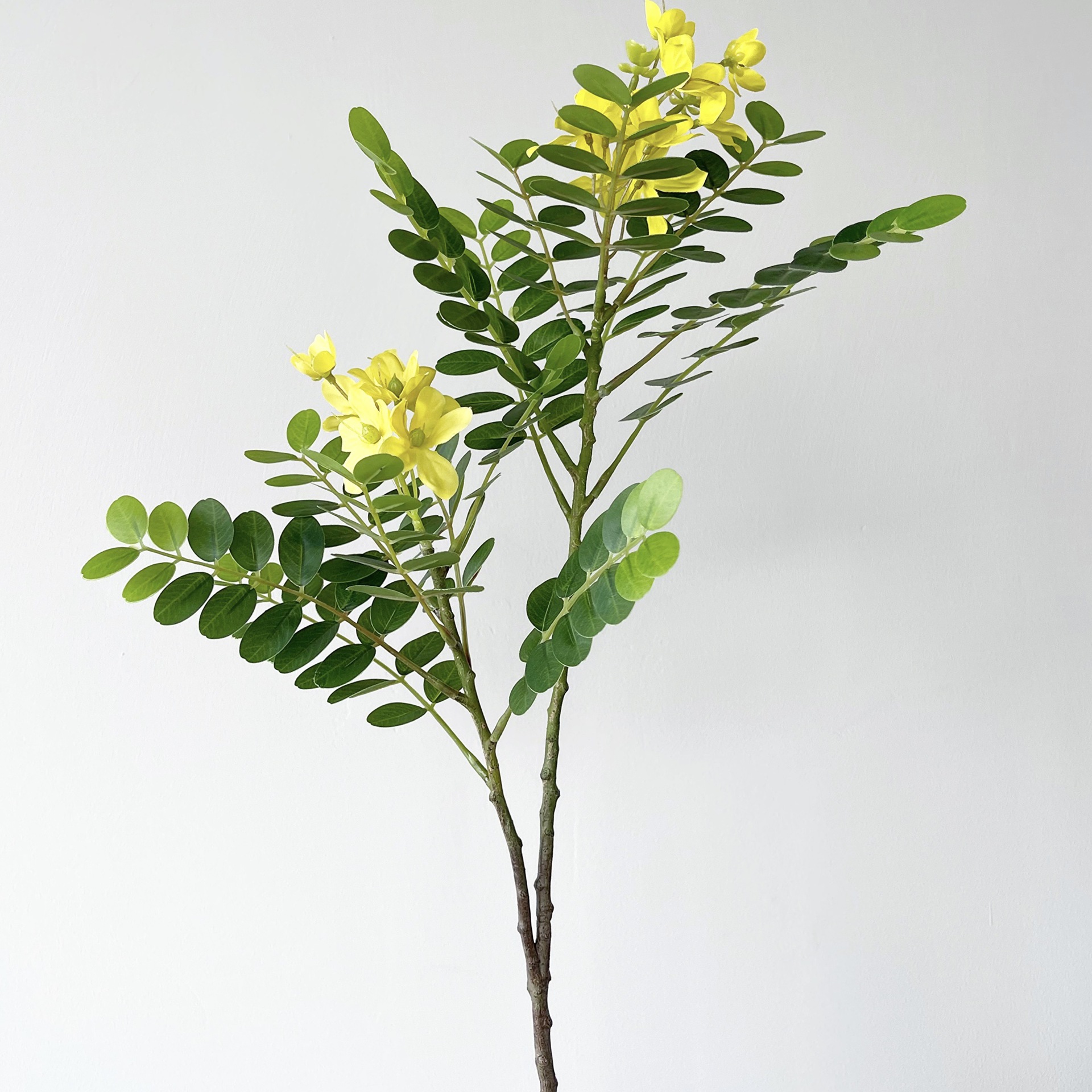 仿真黄槐花叶 黄花叶槐花树叶槐树叶园林工程造景家居装饰仿真花