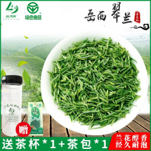 2023新茶明前茶岳西翠兰高山茗茶兰花醇香一级绿茶高山茶叶500g