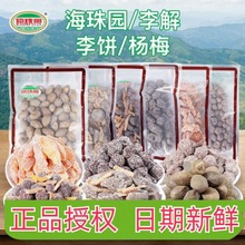 海珠园陈皮李饼400g 李解古早李饼津陈皮金桔杨梅甘草橄榄零食