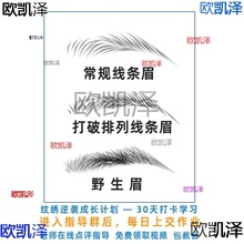 素妆美学院半纹绣野生画眉纸练习本册线条排列形模板设计临摹