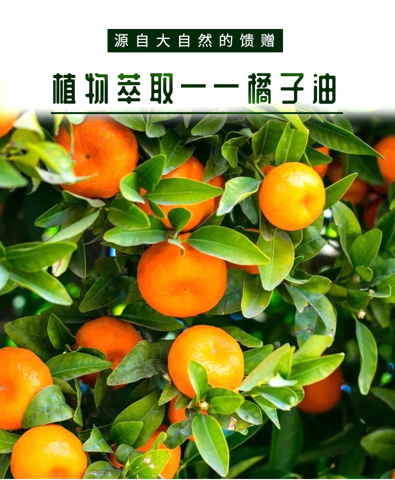 橘子皮精油冷榨橘子油香薰除臭精油tangerine peel oil橘子香精