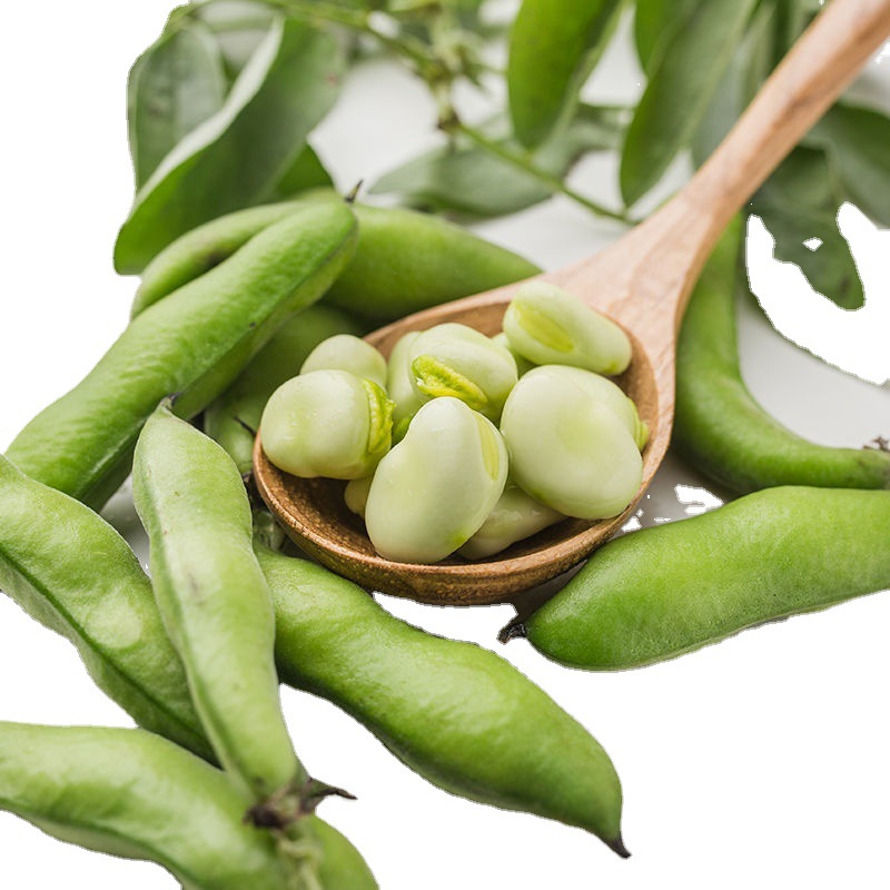 蚕豆云南新鲜毛豆青带壳蔬菜类罗汉豆兰花胡豆佛南豆竖豌豆蔬菜
