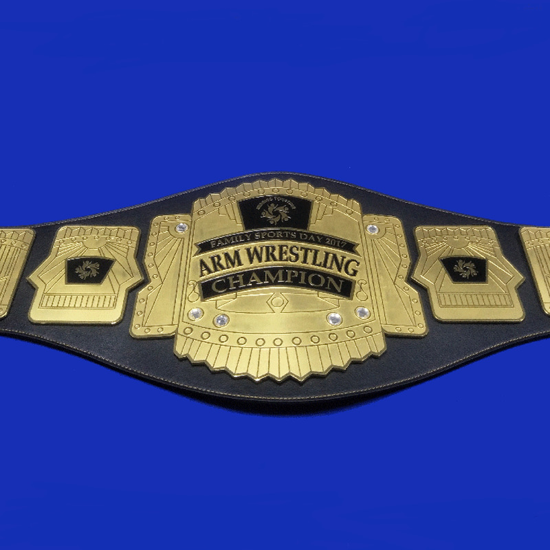 拳王跆拳道武术自由搏击散打泰拳 wbc wlf 武林风拳击赛事金腰带