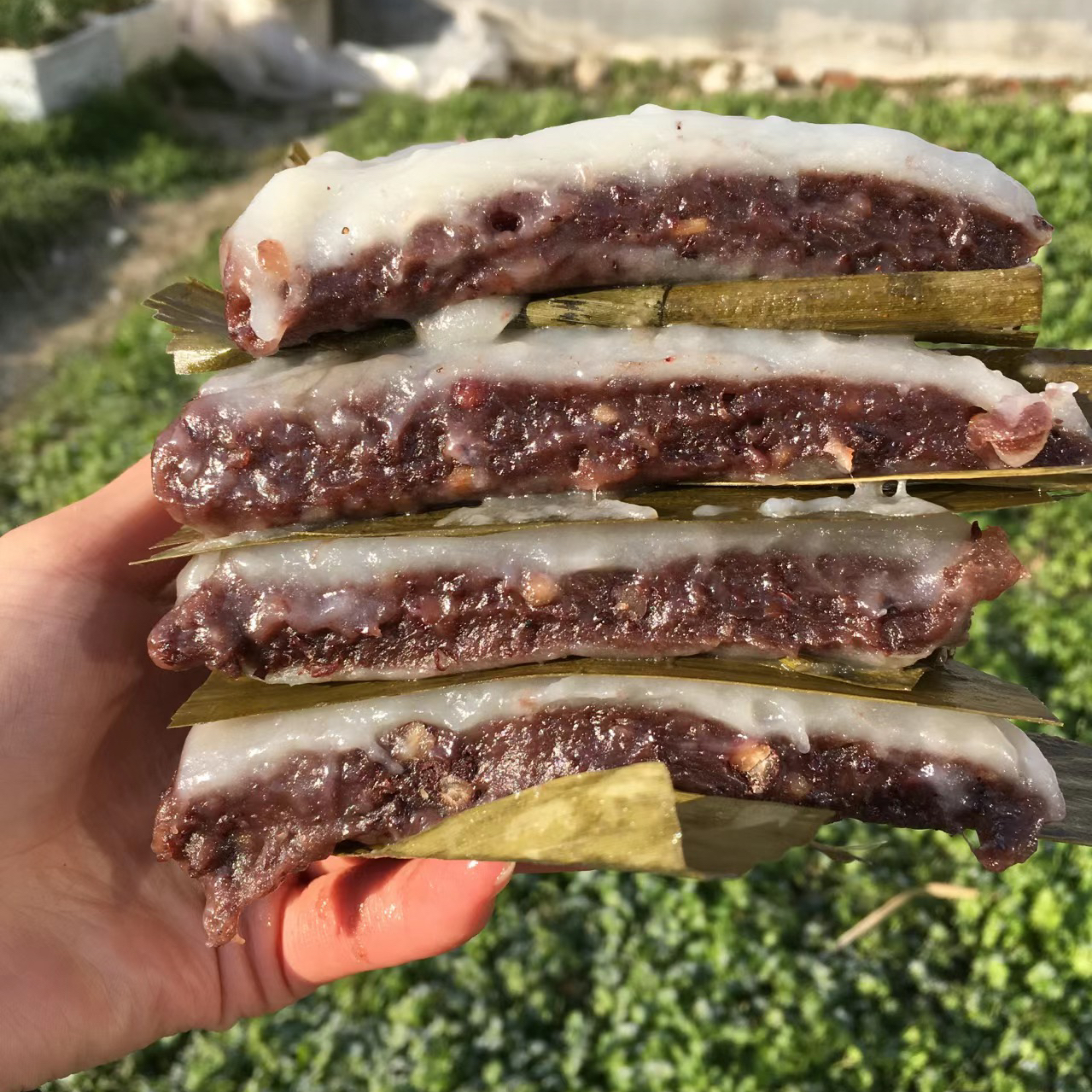 衢州特产龙游糍糕农家土发糕纯手工糕点自制传统糕点网红小吃