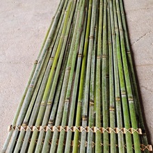 红色竹排竹编竹篾条竹片道具室外竹艺花艺造景装饰竹条长条竹青