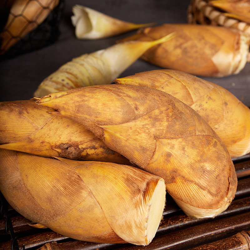 冬笋新鲜浙江临安天目山春笋黄泥毛竹笋鲜笋3斤装中大号3两