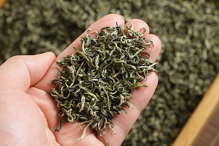 批发云南滇绿茶 2022年10号玉螺 早春茶 500克 散茶