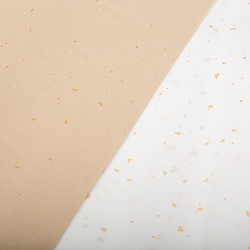 洒金宣纸白色仿古色烫金烫银描龙描金龙凤四尺生宣国画专用六尺半