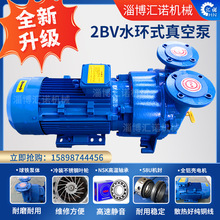 淄博博山厂家供应2BV水环式真空泵高真空铸铁不锈钢