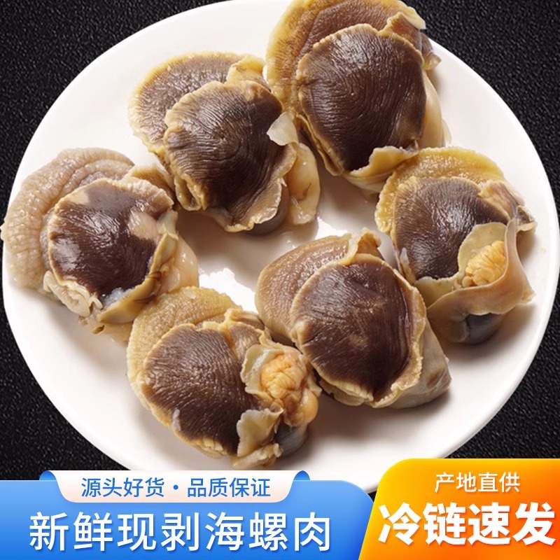 现剥海螺肉大海螺冷冻海螺肉去头去内脏海鲜水产商用批发包邮