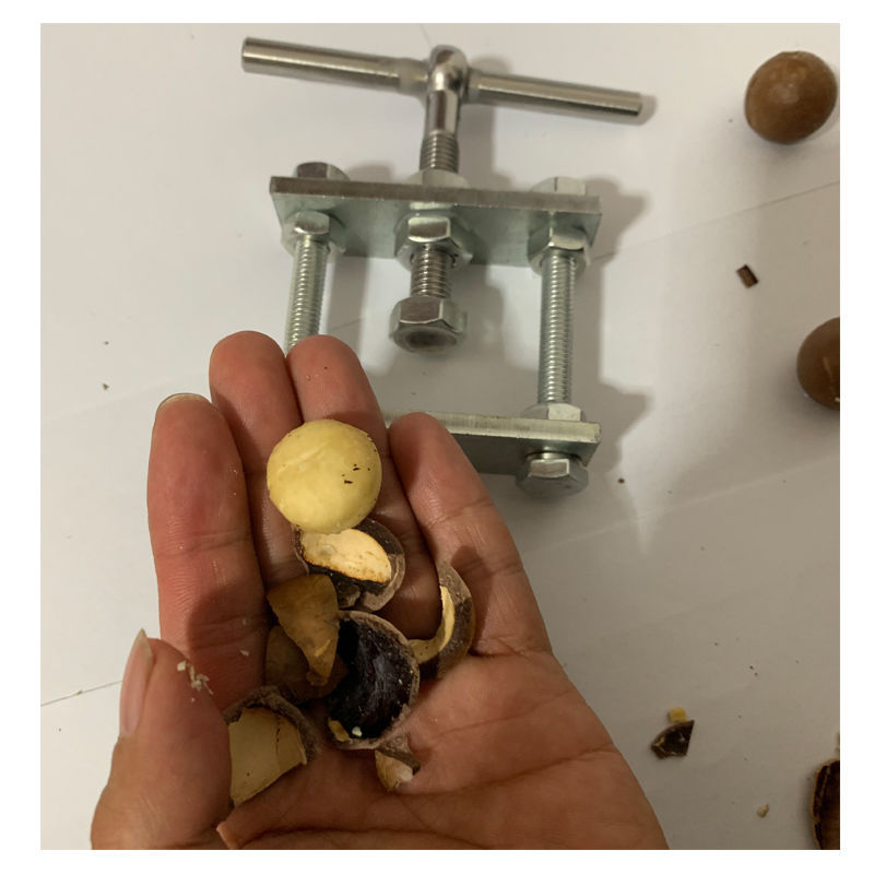 开坚果夏威夷果碧根果开壳器开果器不锈钢夹子新鲜生坚果工具