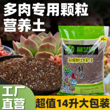 多肉颗粒土多肉专用营养土壤 种植土泥炭土铺面石纯颗粒园艺花土