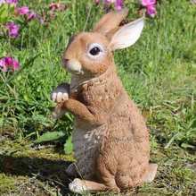 户外花园庭院装饰品兔子摆件幼儿园草坪花镜道具名宿场景布置