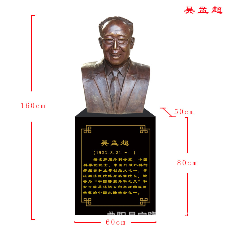 现货抗疫英雄钟南山人物雕塑像医学家雕像仿铜名人头像医院摆件