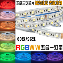 5050RGBWW五合一软灯带24V 60珠96珠RGBCCT七彩+双色色温调光灯条