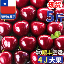 智利进口车厘子5斤水果新鲜大樱桃应当季4J大果孕妇礼盒整箱包邮3