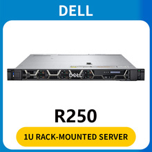 适用 Dell PowerEdge R250 1U Rack Server for Shared ERP