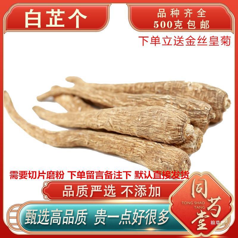 白芷根无硫白芷个白止整根白纸棒白芷片粉白芷棍香料卤料真货