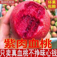 血桃朱砂红老树新鲜农家现摘当季时令孕妇水果1/3/5斤整箱毛桃