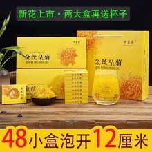 正宗特级金丝皇菊一朵一杯2023新花礼盒装大菊花茶大贡菊花茶