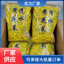 清水黄花菜含水5斤装凉拌菜麻辣烫火锅非干货金针菜商用食材整箱