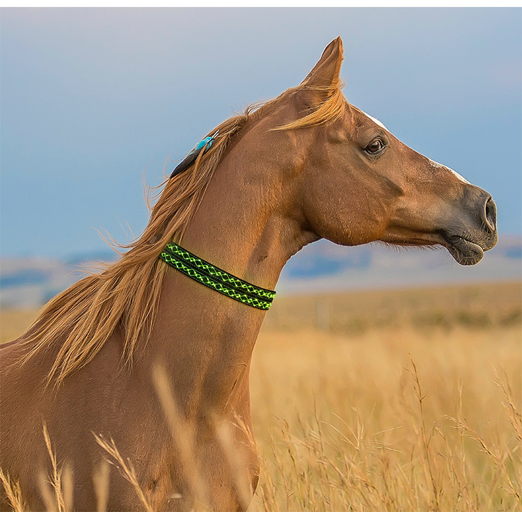 2021年新款源头厂家跨境led艺术绳绣发光马脖套usb充电马术用品