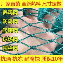 养鸡围栏网户外网格养殖网养鸡围网鱼塘果园网菜园网爬藤网尼龙网