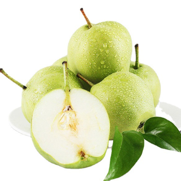 陕西早酥梨新鲜脆甜青皮梨子新鲜水果当季脆甜脆爽多汁一件代发