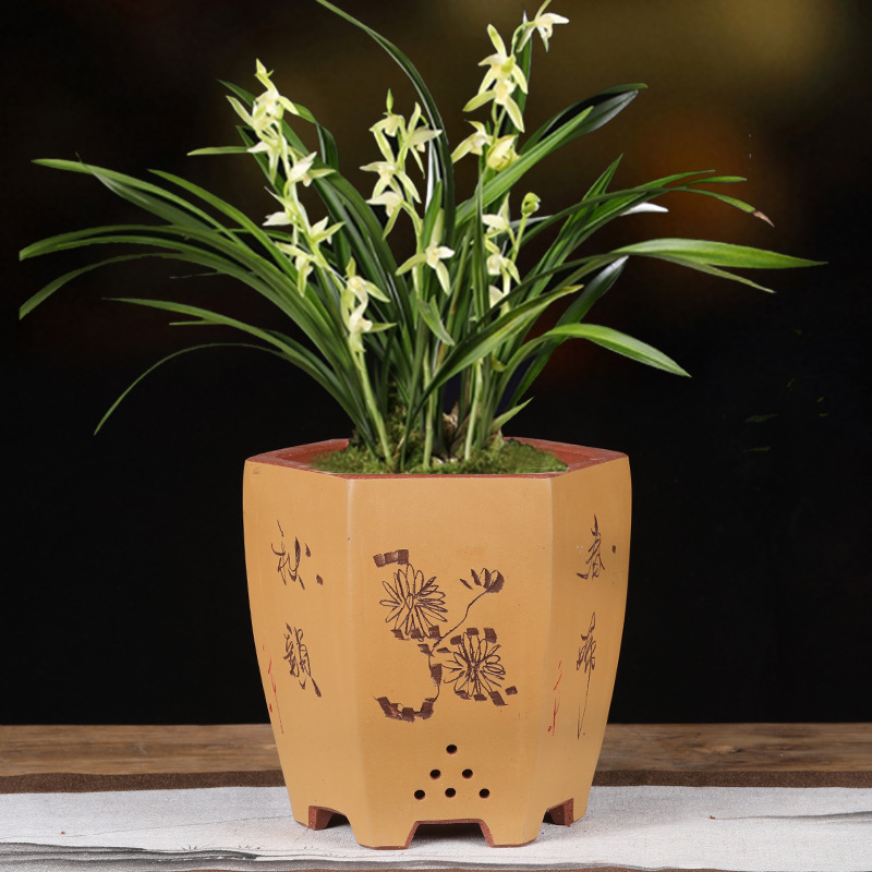 紫砂兰花专用盆陶瓷精品六方透气绿萝室内家用盆景大花盆清仓特价