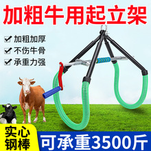 牛用起立架提牛器奶牛辅助站立架兽用大牛用品生产保定架吊架