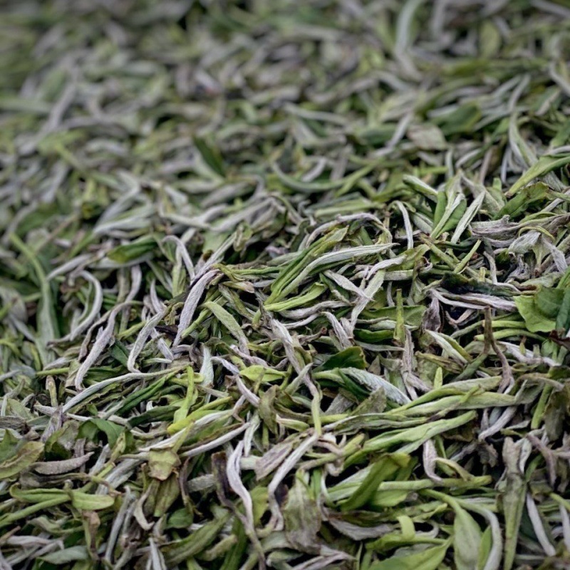 茶叶散装福鼎大白茶2023年明前高山白牡丹新茶一芽两叶散茶250g