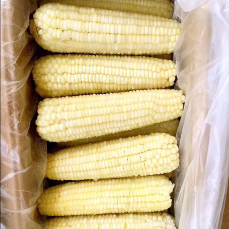 冷冻玉米棒批发