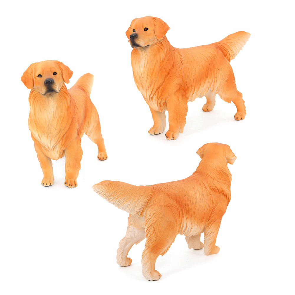 实心仿真动物狗模型大金毛犬宠物狗科教模型儿童礼物玩具摆件