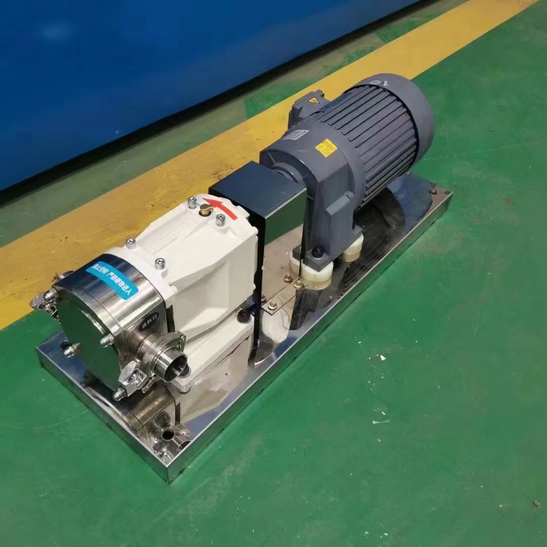 不锈钢卫生转子泵 tlb12-30-80 齿轮定速转子泵 调速凸轮转子泵