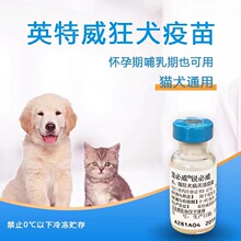英特威狂犬疫苗锐必威猫咪狗狗二联四联宠物进口预防狂犬病疫苗