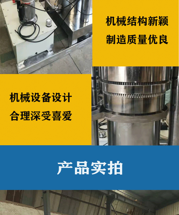 大型液压香油榨油机 家用小型带壳铁核桃榨油机 核桃仁榨油机