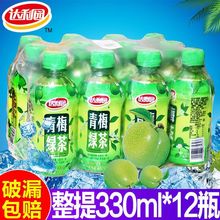 达利园青梅绿茶330ml*12瓶整箱装果味茶饮料