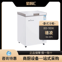 穗凌BD-103K冰柜小型迷你冷柜家用商用单温雪柜卧式冷藏冷冻冰箱