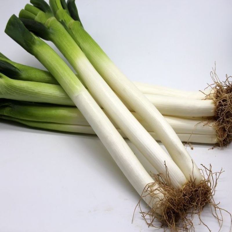 大葱批发山东铁杆章丘香葱新鲜去叶笨葱蘸酱长葱现挖绿色蔬菜网红
