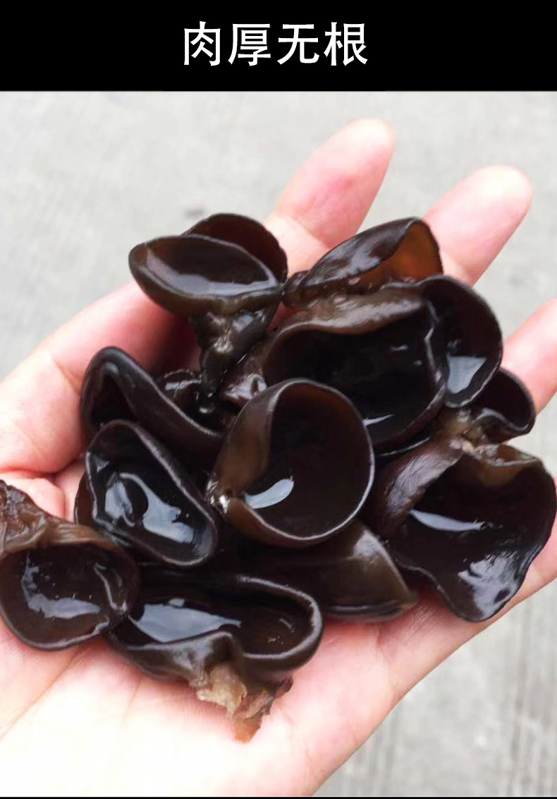 东北黑木耳批发地摊跑江湖货源商超农产品散装干货秋耳小黑木耳