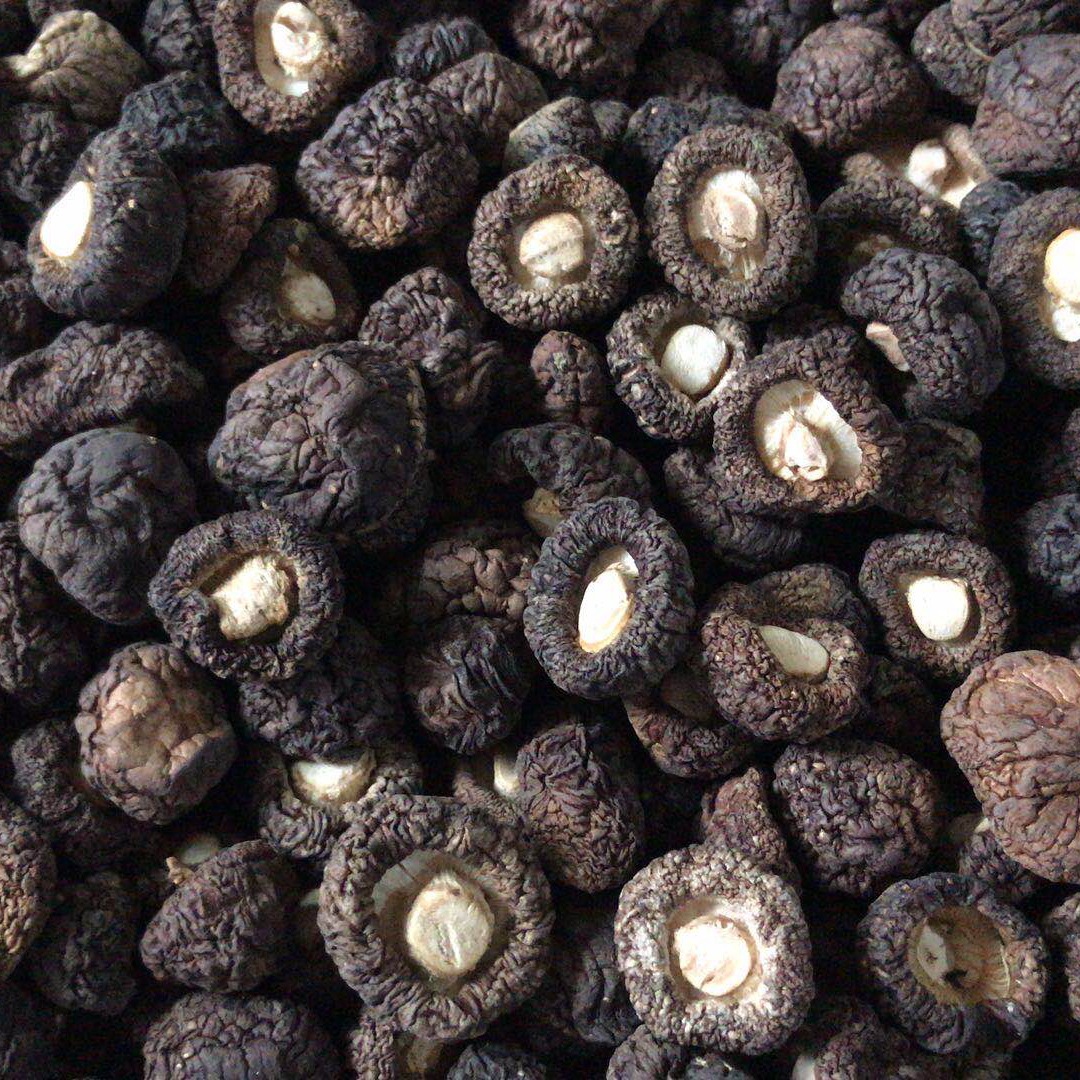 廖氏红薯苕皮粉皮宽粉350g四川特产火锅红薯皮凉拌砂锅