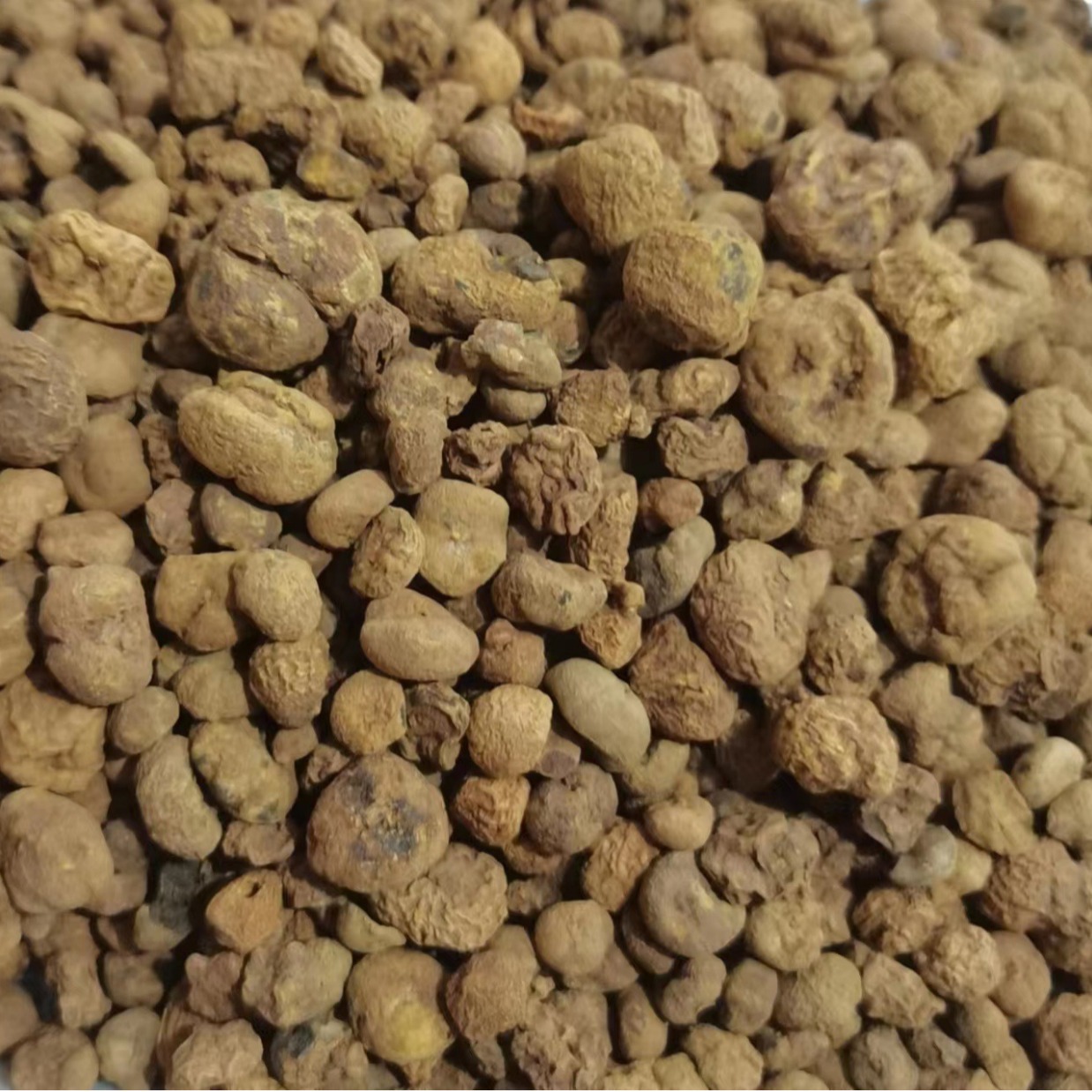 浙江元胡 产地货源 厂家现货可批发 多规格实物拍摄-阿里巴巴