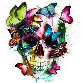 新款5d钻石画蝴蝶骷髅脸满钻圆钻diy点钻画挂画